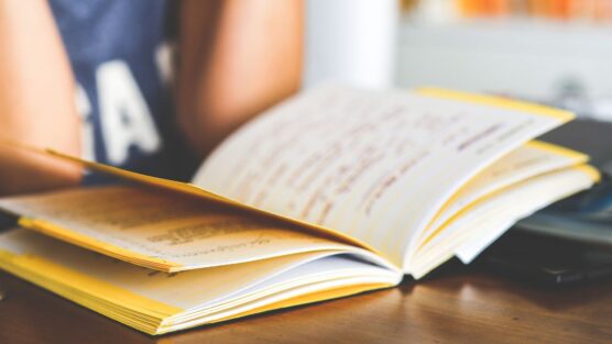 Caderno inteligente: Confira estas opções para você