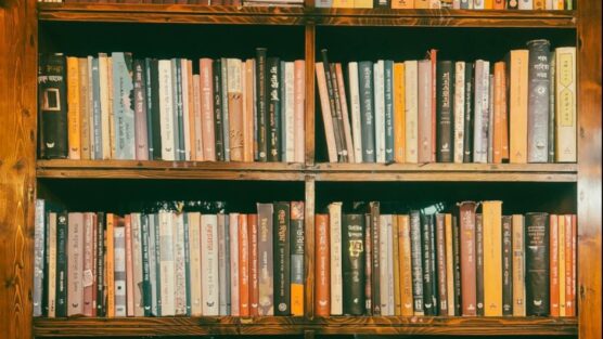 5 melhores opções de planner de leitura para organizar sua vida viterária